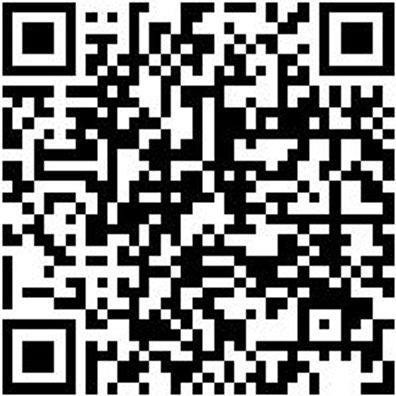 Radheber Druckluft Wghbr-Shwr-Ausf.-Schw-2T