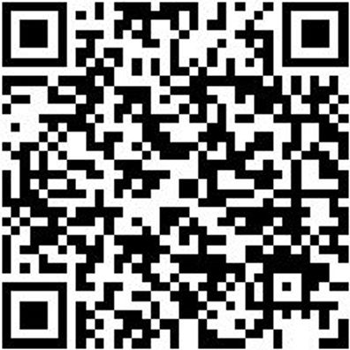 Klemmgripzange Klegrpzang-C-L275Mm