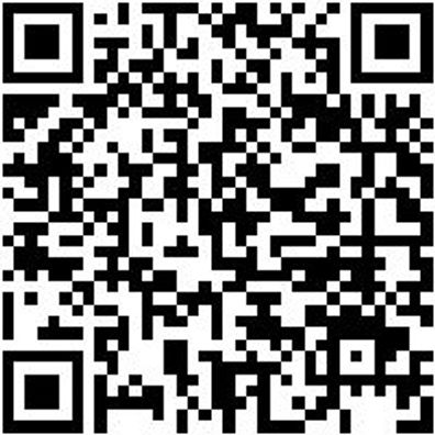 Klemmgripzange Klegrpzang-Parallel-L180Mm