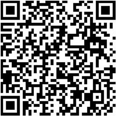 Ratschenzurrgurt Zgrt-Rat-Dpsphak-Sifalle-4T-B50Mm-L10M