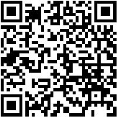 Ratschenzurrgurt Zgrt-Rat-Spitzhak-4T-B50Mm-L10M