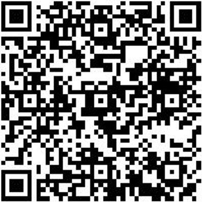 Ratschenzurrgurt Zgrt-Rat-2Tlg-Sicherung-2T-B35Mm-L4M