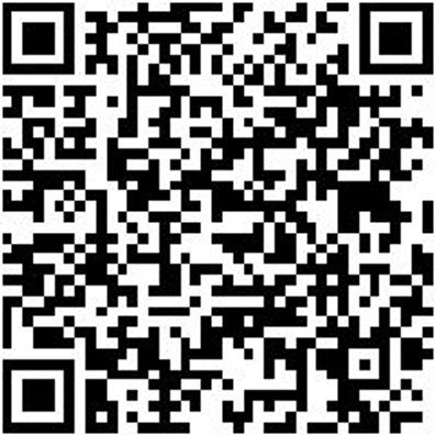 Ratschenzurrgurt Zgrt-Rat-1Tlg-Basic-25Mm-2M