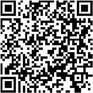 Ratschenzurrgurt Zgrt-Rat-1Tlg-Basic-50Mm-8M