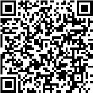 Ratschenzurrgurt Zgrt-Rat-Zweitlg-Flachhaken-25Mm-5M