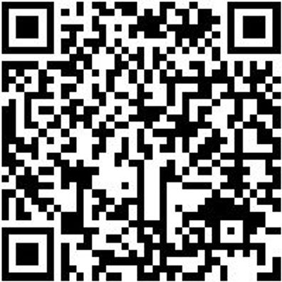 Hebeband Hebeba-(En1492-1)-8000Kg-L5000-B240Mm