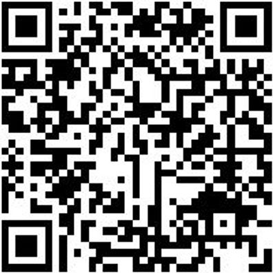 Hebeband Hebeba-(En1492-1)-4000Kg-L4000-B120Mm