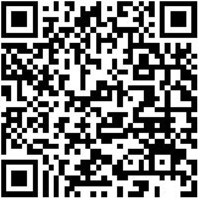 Anlegeleiter Anleglei-Alu-Trav-12Spro