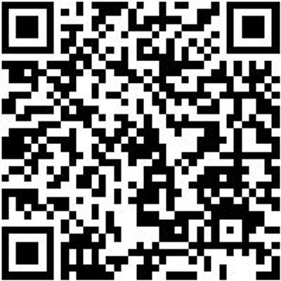 Schiebeleiter Shieblei-2Tlg-Alu-Trav-2X10Spro