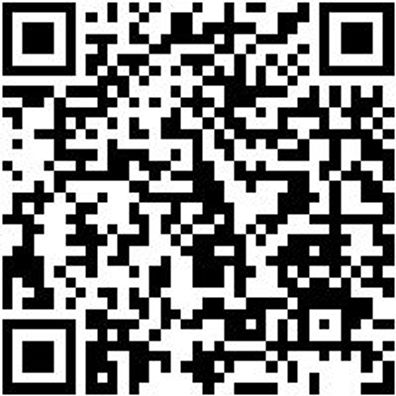 Schiebeleiter Shieblei-2Tlg-Alu-Trav-2X8Spro