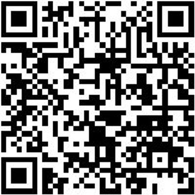 Teleskopleiter Tskoplei-Profi-Alu-4X5Spro