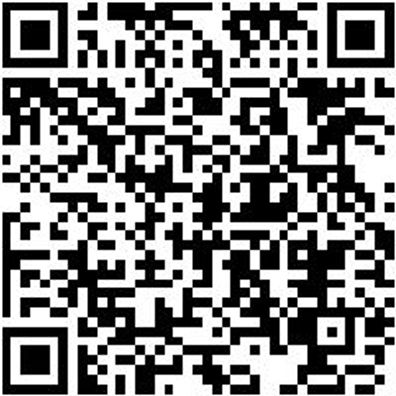 Magazinschraubendreher Shrdrh-Mg-Auto/Cargo-13Tlg