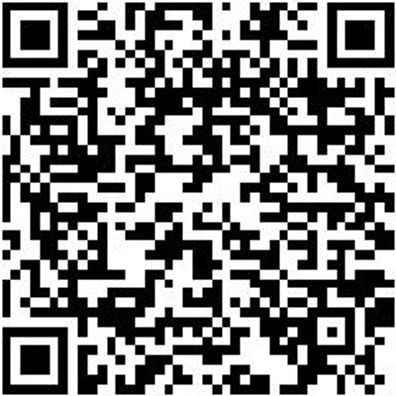 Malerspachtel Malspacht-4090-B50Mm