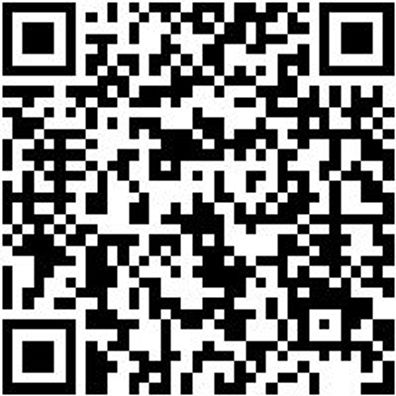 Malerwalze Sortiment/Set Malwalz-Set-Stebgl-Pins-16Tlg