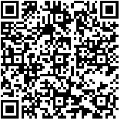 Lackierwalze Lkwalz-Wb/Lm/La-Florh8Mm-B250Mm