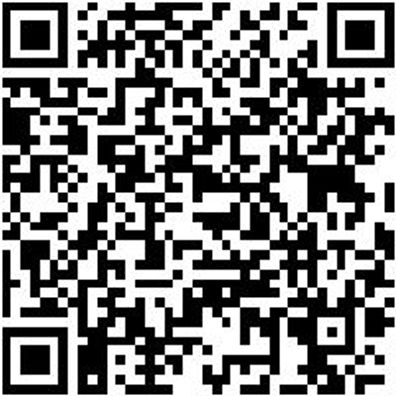 Ratschenzurrgurt Zgrt-Rat-1Tlg-Basic-25Mm-4M