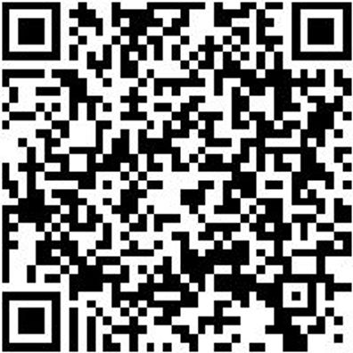 Ratschenzurrgurt Zgrt-Rat-1Tlg-Basic-50Mm-6M