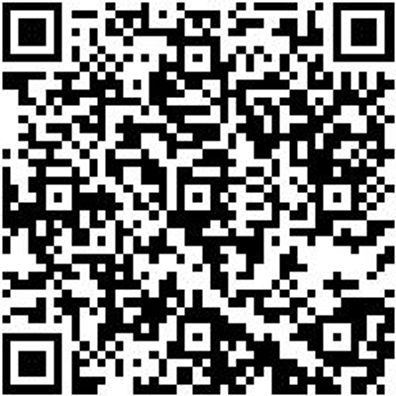 Ratschenzurrgurt Zgrt-Rat-2Tlg-Ds-Hak-Basic-50Mm-6M