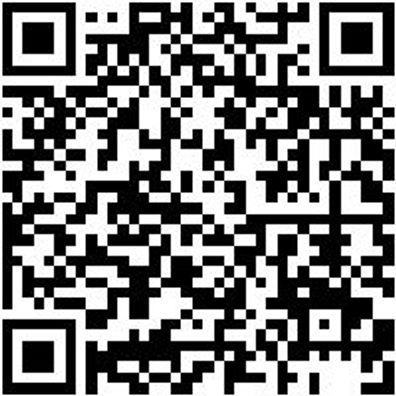 Lagerwerkzeug Sortiment/Set Fahrwrkwzg-Sa-Nr4-23Tlg