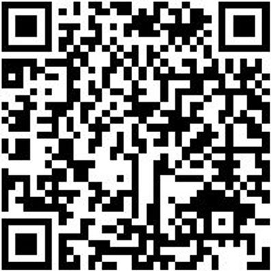 Hebeband Hebeba-(En1492-1)-8000Kg-L4000-B240Mm