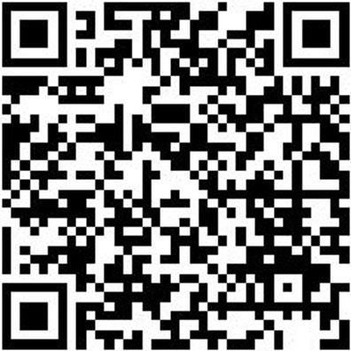 Latthammer Lattham-Magn-Nglhalt-600G