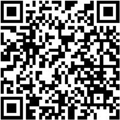 Latthammer Lattham-Vollgeschmiedet