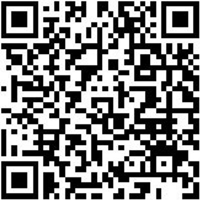 Anlegeleiter Anleglei-Alu-10Spro