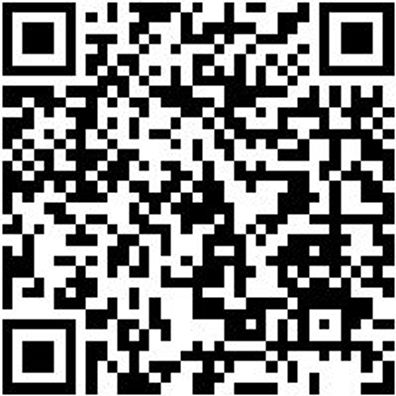 Schiebeleiter Shieblei-2Tlg-Alu-Trav-2X18Spro