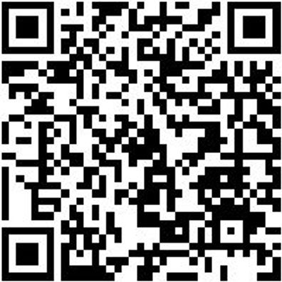 Schiebeleiter Shieblei-2Tlg-Alu-Trav-2X12Spro