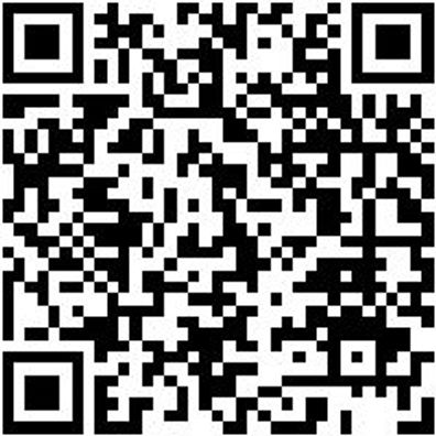 Schiebeleiter Stuf-Shieblei-2Tlg-Alu-2X12Stuf