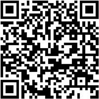 Stehleiter Stehlei-Alu-Geboerdelt-2X10Stuf