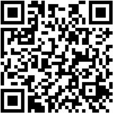 Leiterntritt Leitritt-Alu-2X2Stuf