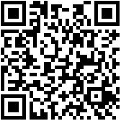 Leiterntritt Leitritt-Alu-2X3Stuf