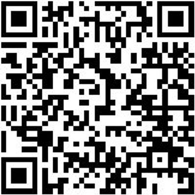 Handleuchte Akku Leucht-Akku-Led-Wlh1.3