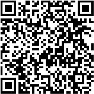 Magazinschraubendreher Shrdrh-Mg-Auto/Metall-13Tlg