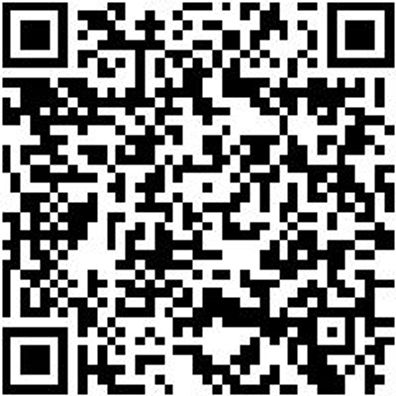 Malerwalze Malwalz-Dw-Pa-Florh18Mm-B250Mm