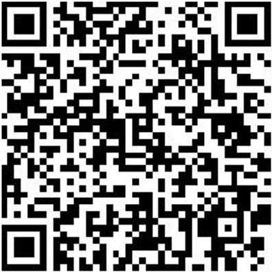 Montagehilfe Mntghilf-Stuetze-110Kg-(155-310Cm)