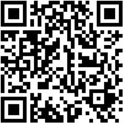 Nageleisen Ngleis-Oval-L1000Mm