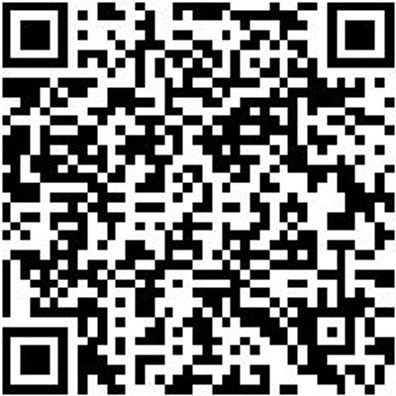 Nass- U. Trockensauger Elektro Zubehör Flfafilt-Pes-(F. Nts-Iss)