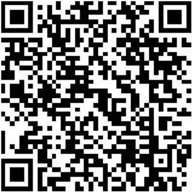 Plattpinsel Plattpins-Dw-Pa-Gbgn-Gr35