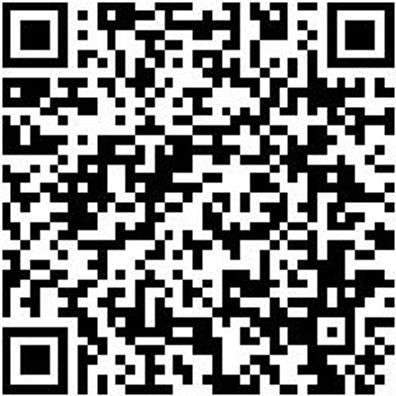 Plattpinsel Plattpins-Wb-Pa-Gbgn-Gr30