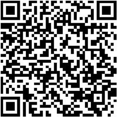 Plattpinsel Plattpins-Lm-Gbgn-Gr25