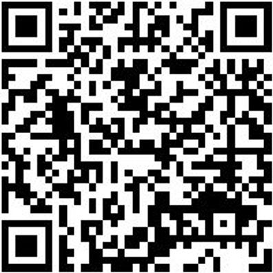 Mechanikerhandschuh Spezial Shtzhndshh-Spez-Mechaniker-Pro-Gr10