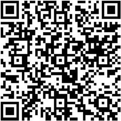 Radlagerwerkzeug Sortiment/Set Radl.-Werkz.-Masters. F. Fo. Trans. Hydr