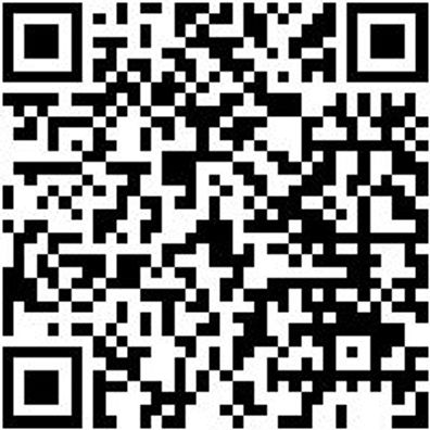 Rasterkeil Sortiment/Set Rstrkeil-Sort-245Tlg