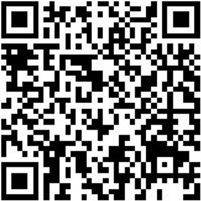 Reifenheber Rfnhbr-500-M. Kstbelag