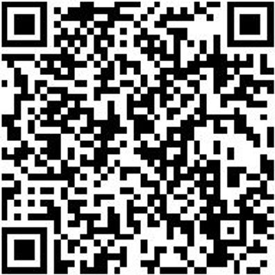 Riemenwerkzeug Sortiment/Set Kombischluessel-Satz 4641/4