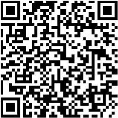 Riemenwerkzeug Sortiment/Set Elastriemen-Werkzeug-Set Ford-Fiesta