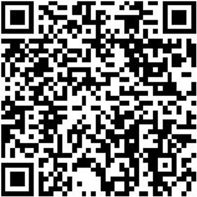 Riemenwerkzeug Sortiment/Set Elastriem-Wzg-Set F. 1,8L+2,2L Diesel