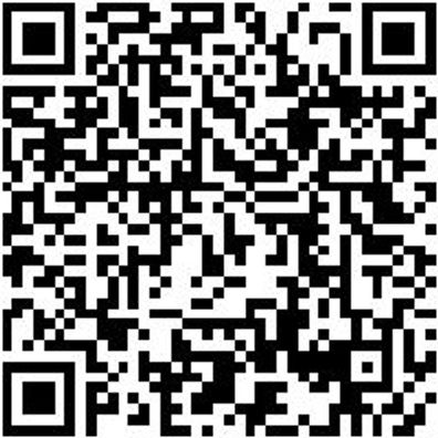 Riemenwerkzeug Sortiment/Set Kftvielfae-Sa-Zent-Shr